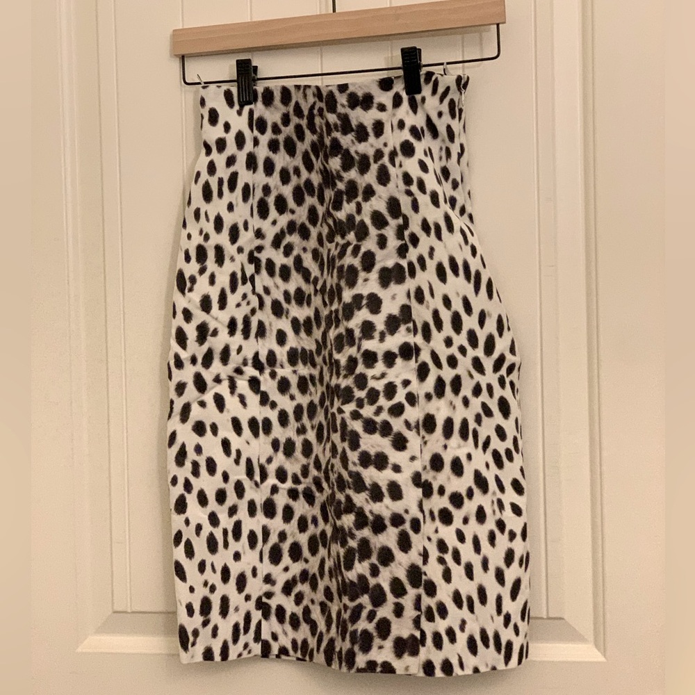Dior skirt